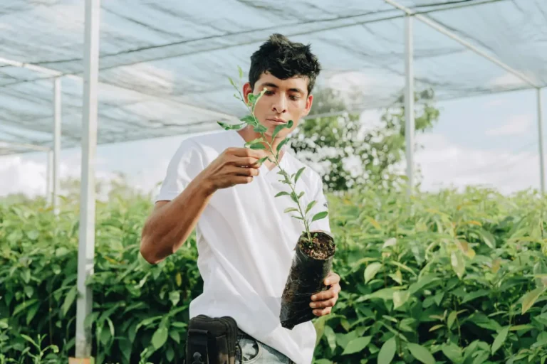 Mission 2025: PegPack for a Sustainable Future